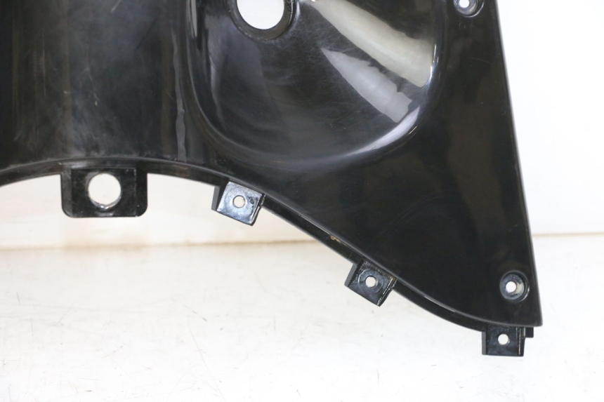 photo de INNER LEGSHIELD UPPER DAELIM BESBI 125 (2007 - 2008)