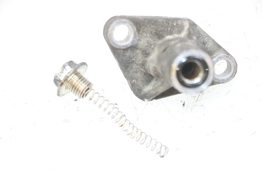 photo de CAM CHAIN TENSIONER PIAGGIO MP3 LT 300 (2010 - 2016)