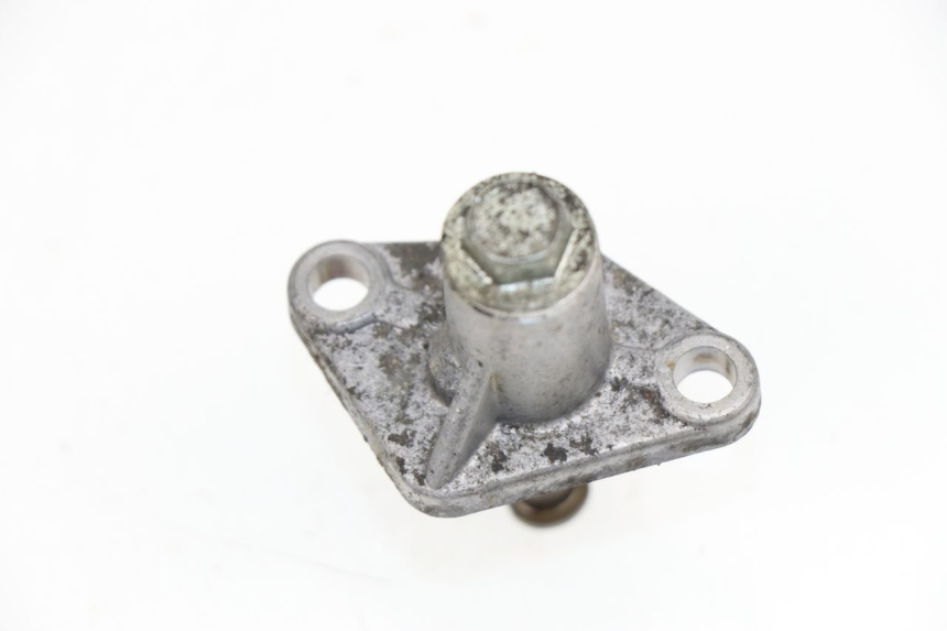 photo de TIMING CHAIN TENSIONER PEUGEOT ELYSEO 125 (1999 - 2004)
