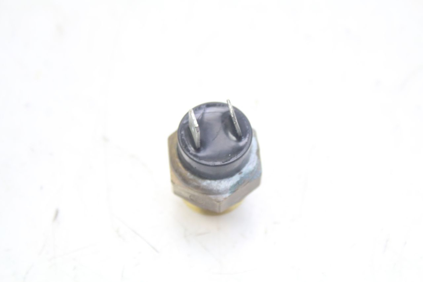photo de THERMO SWITCH PEUGEOT GEOPOLIS RS 125 (2007 - 2009)