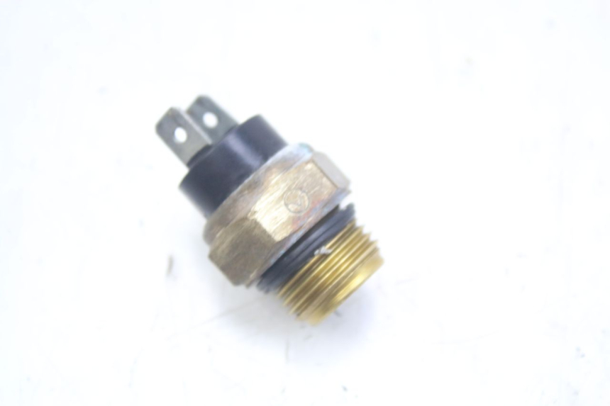 photo de THERMO SWITCH PEUGEOT GEOPOLIS RS 125 (2007 - 2009)