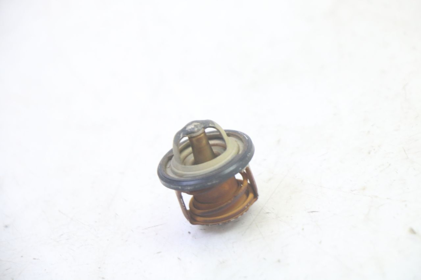 photo de THERMOSTAT PIAGGIO MP3 RL 250 (2007 - 2010) - Zoom on usage condition