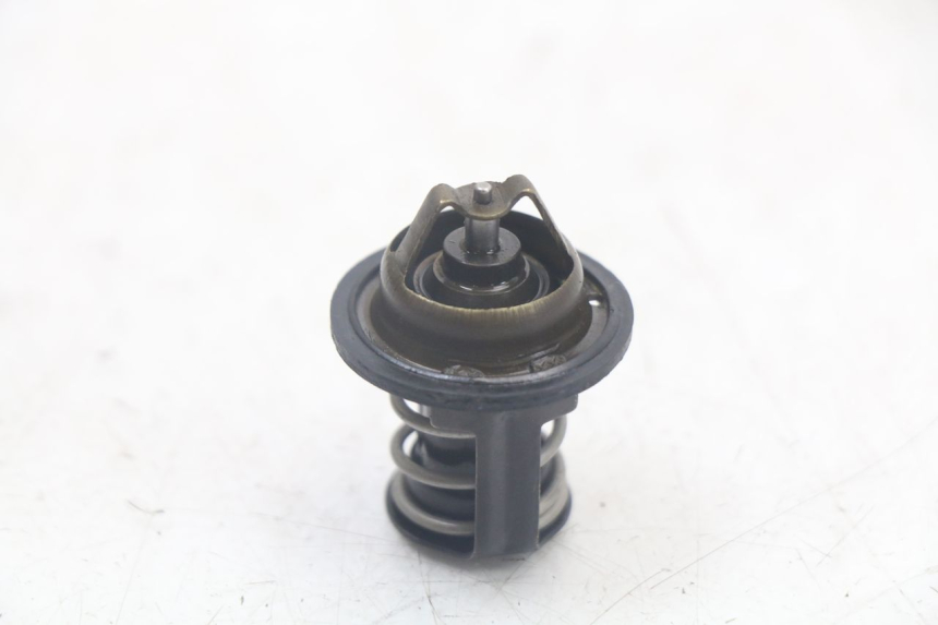 photo de THERMOSTAT PEUGEOT SATELIS 125 (2006 - 2009)