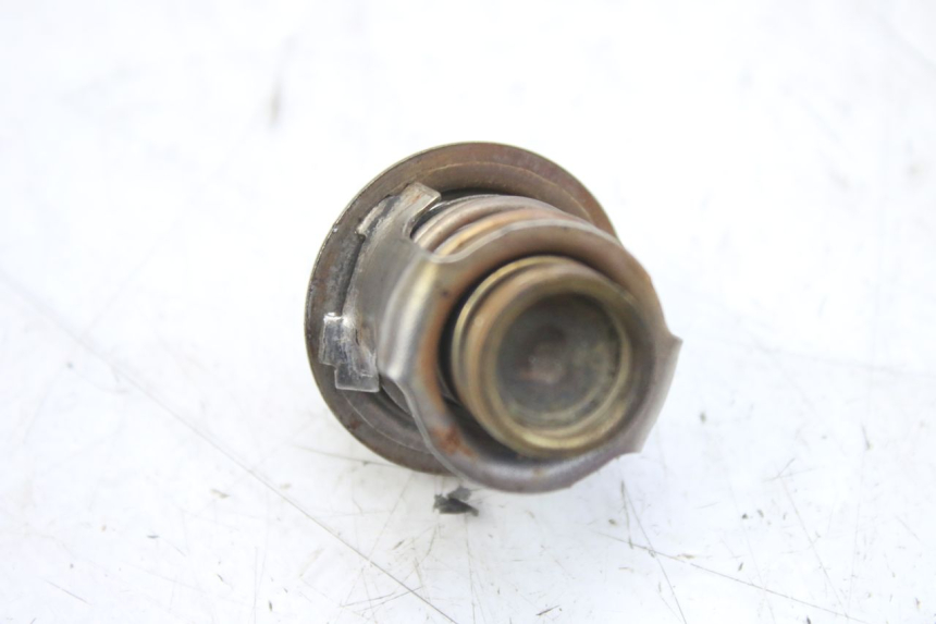 photo de THERMOSTAT PIAGGIO MP3 RL 250 (2007 - 2010)