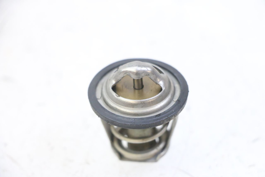 photo de THERMOSTAT PEUGEOT SATELIS 125 (2013 - 2018)