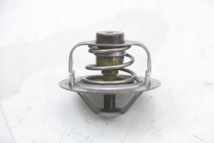 photo de THERMOSTAT YAMAHA FZ1 FAZER 1000 (2007 - 2009)