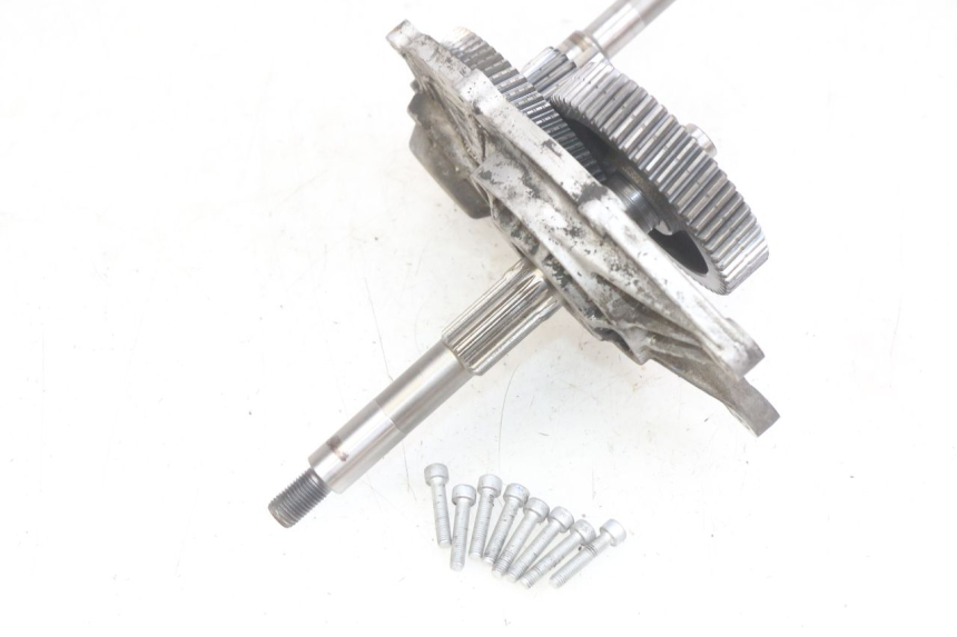 photo de WHEEL TRANSMISSION APRILIA SCARABEO LIGHT 125 (2007 - 2011)