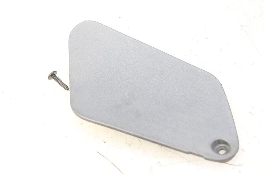 photo de RIGHT SIDE ACCESS PANEL PIAGGIO X9 EVOLUTION 125 (2003 - 2007)