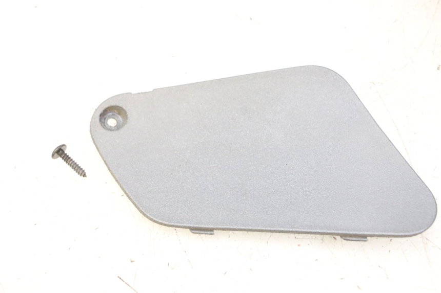 photo de RIGHT SIDE ACCESS PANEL PIAGGIO X9 EVOLUTION 125 (2003 - 2007)
