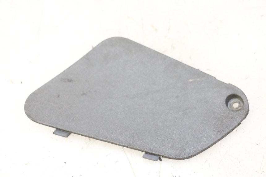 photo de LEFT SIDE ACCESS PANEL PIAGGIO X9 EVOLUTION 125 (2003 - 2007)
