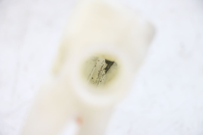 photo de EXPANSION TANK YAMAHA FJR ABS 1300 (2006 - 2012) - Component detail