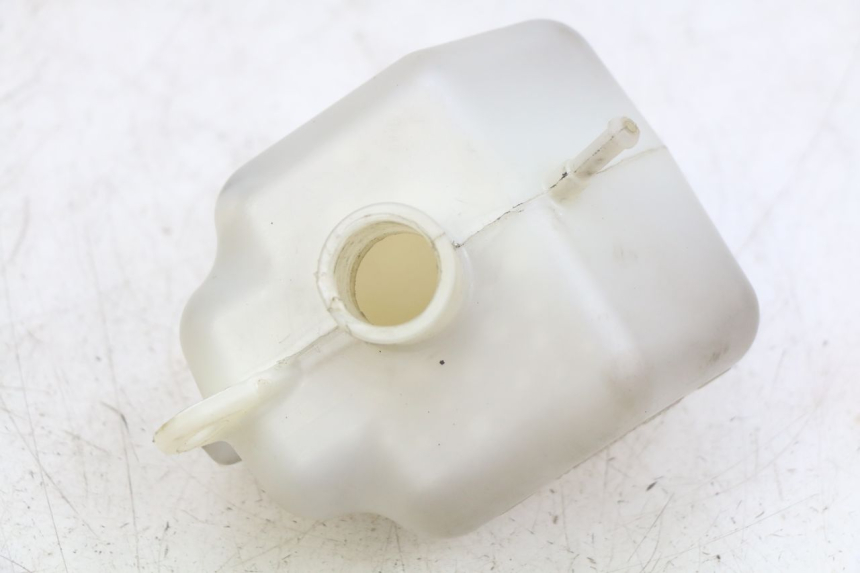 photo de EXPANSION TANK PEUGEOT CITYSTAR 125 (2011 - 2017)