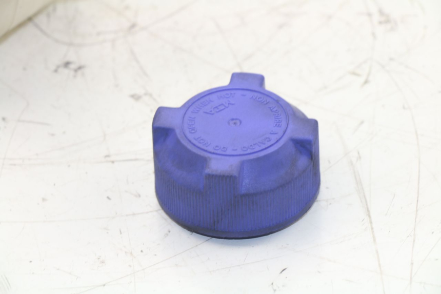 photo de COOLANT EXPANSION BOTTLE PEUGEOT SATELIS 125 (2013 - 2018)