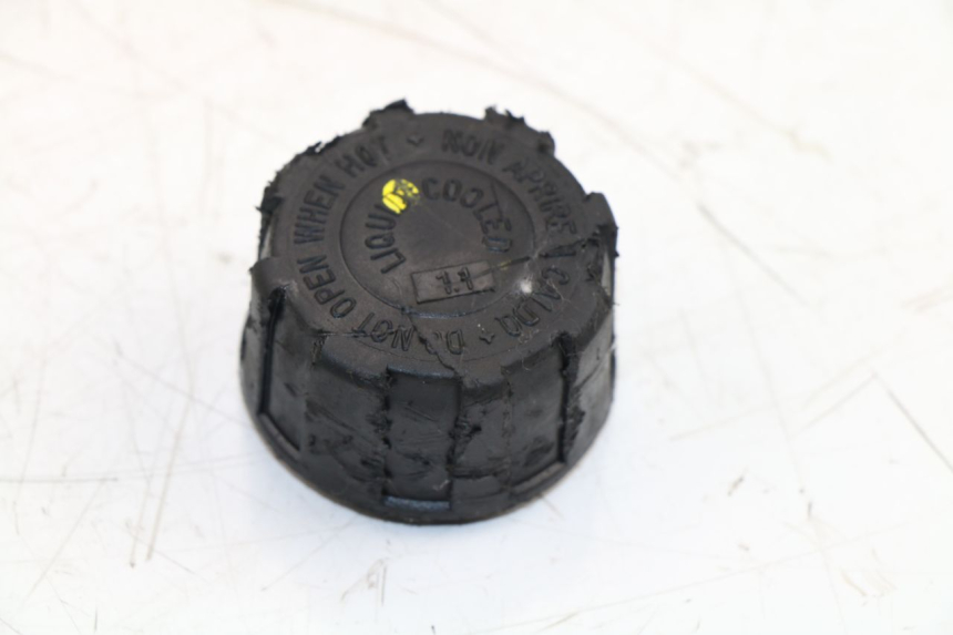 photo de EXPANSION TANK PIAGGIO MP3 500 (2011 - 2015)