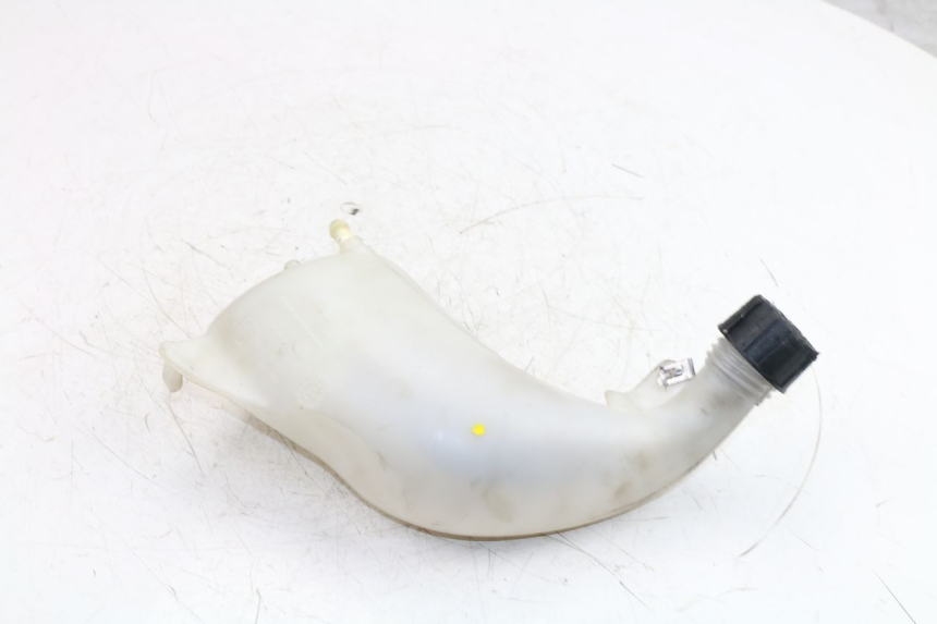 photo de EXPANSION TANK PIAGGIO MP3 500 (2011 - 2015)