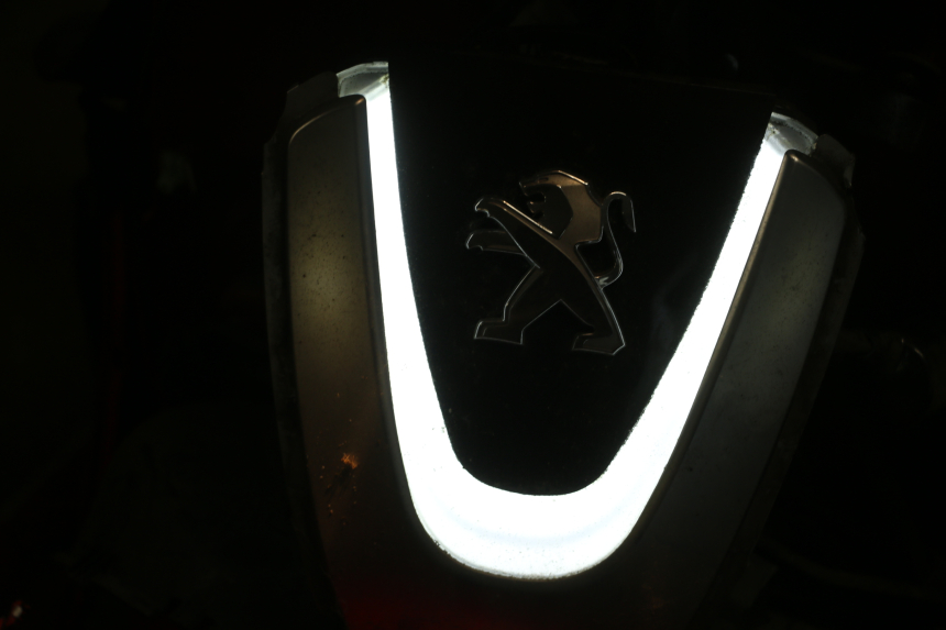 photo de POSITION LIGHT PEUGEOT DJANGO 4T 50 (2014 - 2019) - Surface and material condition