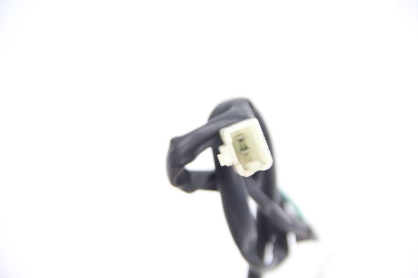 photo de PILOT LIGHT JM MOTORS F45i 4T 50 (2020 - 2023)