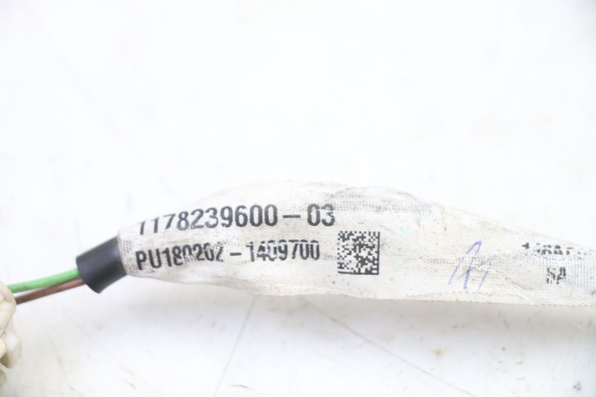 photo de PILOT LIGHT PEUGEOT SATELIS 125 (2013 - 2018)
