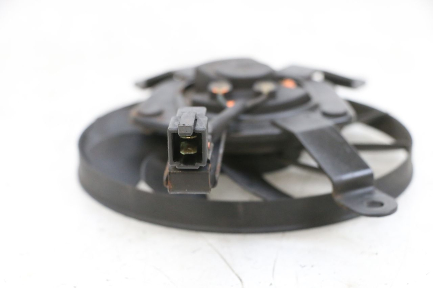 photo de FAN SUZUKI BURGMAN 650 (2013 - 2020)