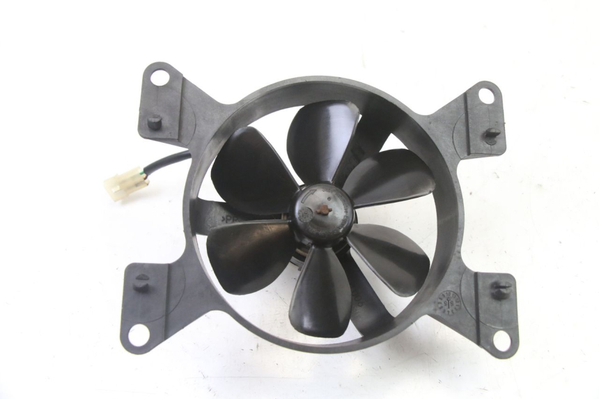 photo de FAN PEUGEOT ELYSEO 125 (1999 - 2004)