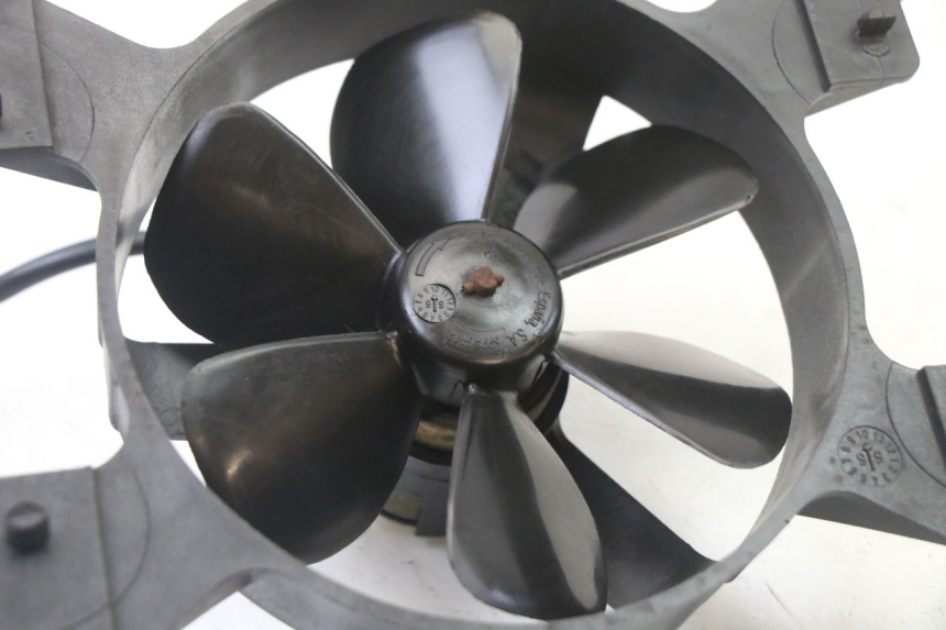 photo de FAN PEUGEOT ELYSEO 125 (1999 - 2004)