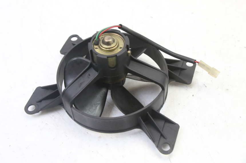 photo de FAN PEUGEOT ELYSEO 125 (1999 - 2004)