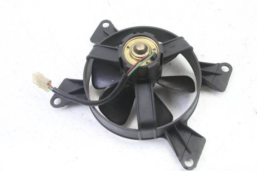 photo de FAN PEUGEOT ELYSEO 125 (1999 - 2004)
