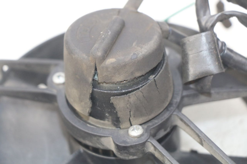 photo de FAN HONDA FES PANTHEON 2T 125 (1998 - 2002)