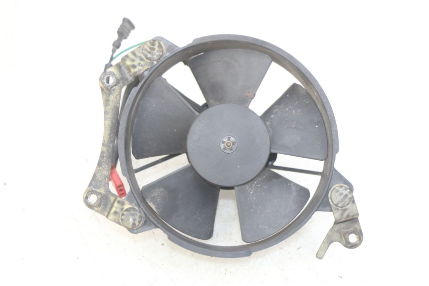 photo de FAN HONDA FES PANTHEON 2T 125 (1998 - 2002)
