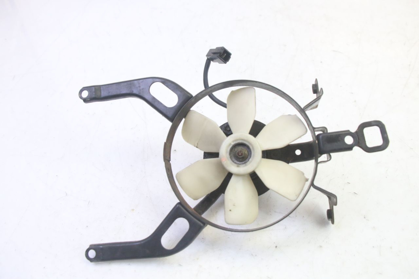 photo de FAN KAWASAKI GPX R WARBIRD 600 (1988 - 1993) - Main view