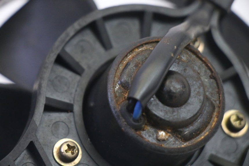 photo de FAN KYMCO GRAND DINK 125 (2008 - 2014)