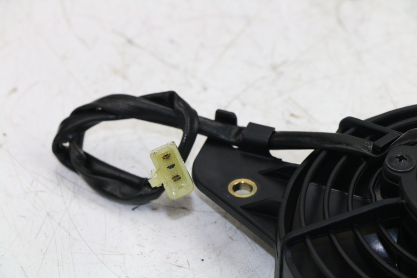 photo de FAN HONDA FES PANTHEON 125 (2003 - 2007)