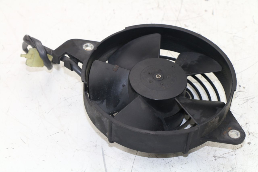 photo de FAN HONDA FES S-WING SWING ABS 125 (2007 - 2015)