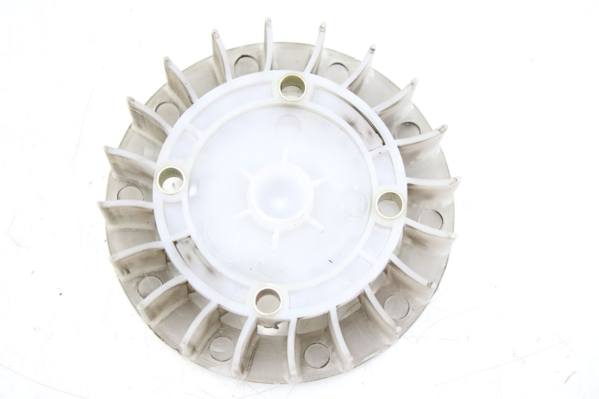 photo de FAN JM MOTORS EVOLIS 4T 50 (2018 - 2022)