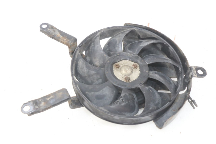 photo de FAN KAWASAKI Z S 750 (2003 - 2006)