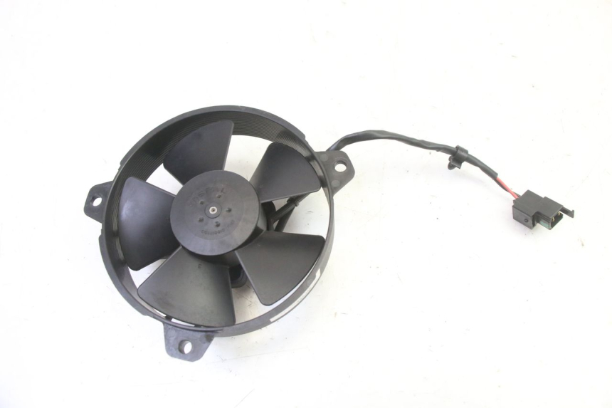 photo de FAN PIAGGIO MP3 HPE 310 (2024 - 2025)