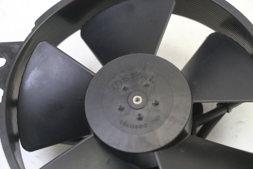 photo de FAN PIAGGIO MP3 HPE 310 (2024 - 2025)