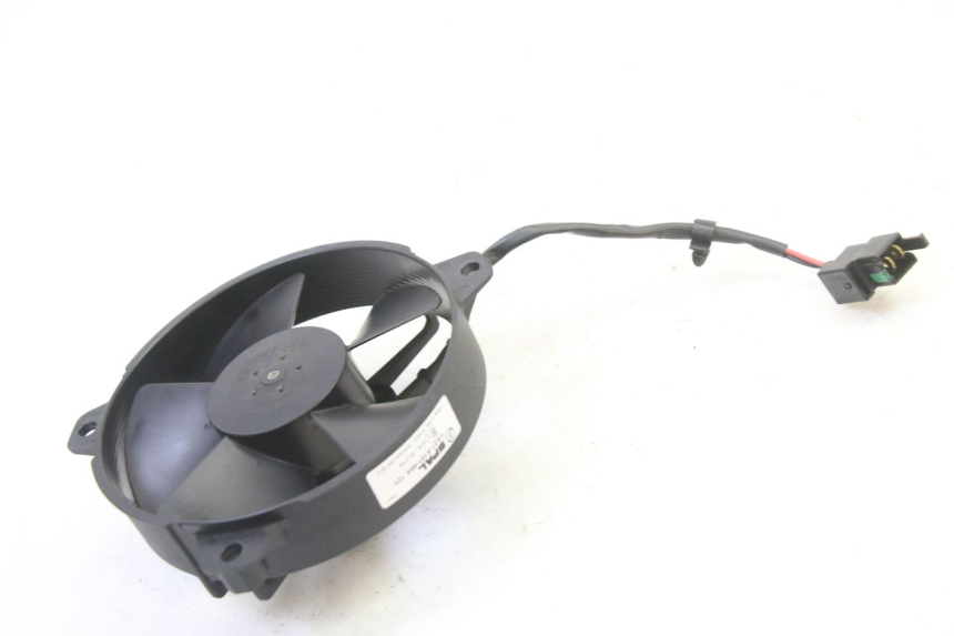 photo de FAN PIAGGIO MP3 HPE 310 (2024 - 2025)