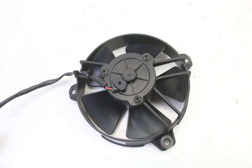 photo de FAN PIAGGIO MP3 HPE 310 (2024 - 2025)