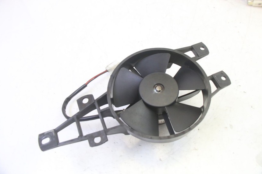 photo de FAN PIAGGIO MP3 RL 250 (2007 - 2010)