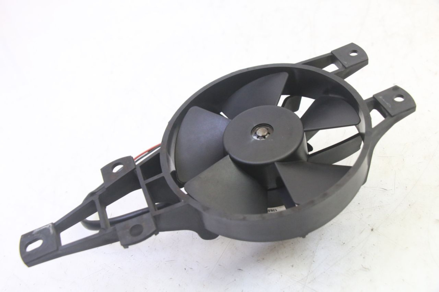 photo de FAN PIAGGIO MP3 RL 250 (2007 - 2010)