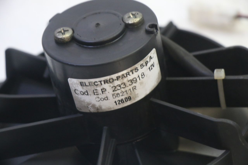 photo de FAN PIAGGIO MP3 RL 250 (2007 - 2010)