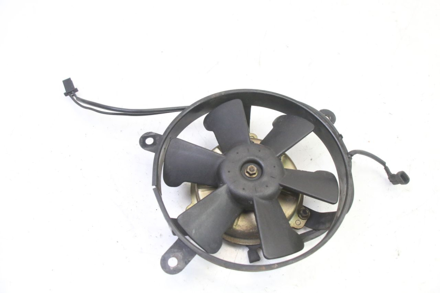 photo de FAN HONDA NTV DEAUVILLE 650 (2001 - 2006)