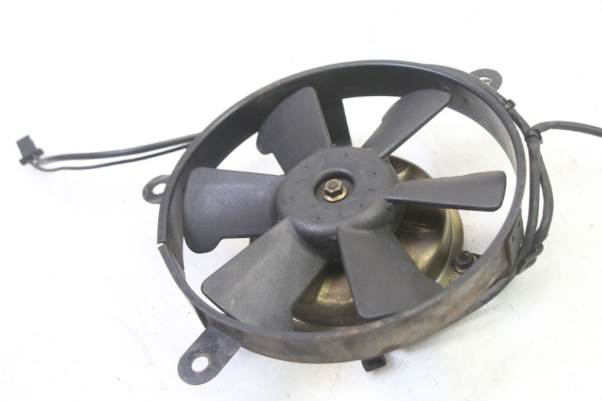 photo de FAN HONDA NTV DEAUVILLE 650 (2001 - 2006)
