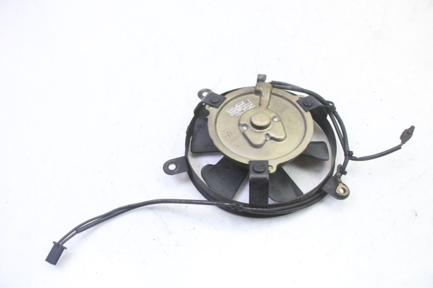 photo de FAN HONDA NTV DEAUVILLE 650 (2001 - 2006)