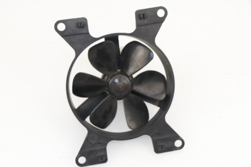 photo de FAN PEUGEOT ELYSEO 125 (1999 - 2004)