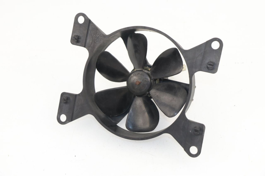 photo de FAN PEUGEOT ELYSEO 125 (1999 - 2004)