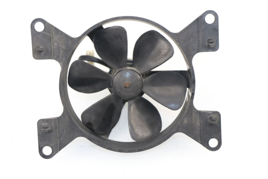 photo de FAN PEUGEOT ELYSEO 125 (1999 - 2004)