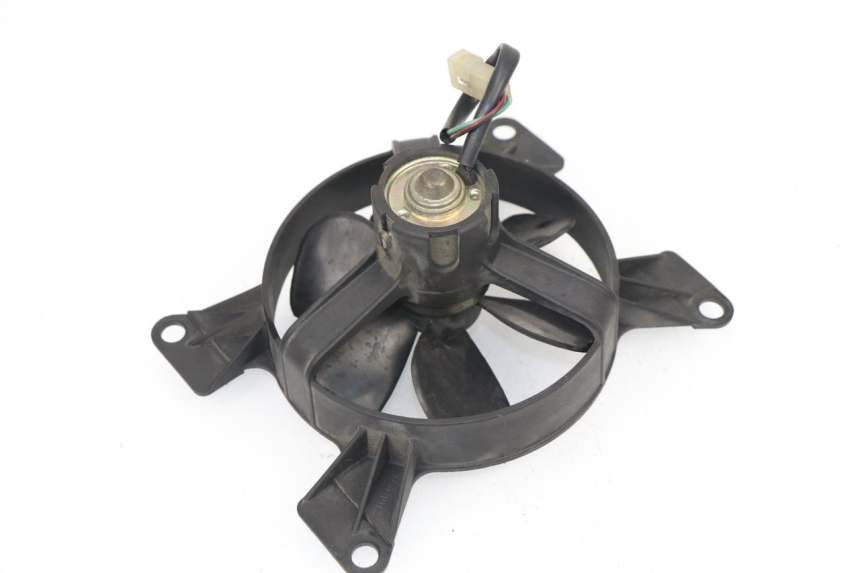 photo de FAN PEUGEOT ELYSEO 125 (1999 - 2004)