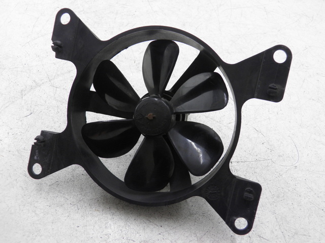 photo de FAN PEUGEOT ELYSEO 125 (1999 - 2004)